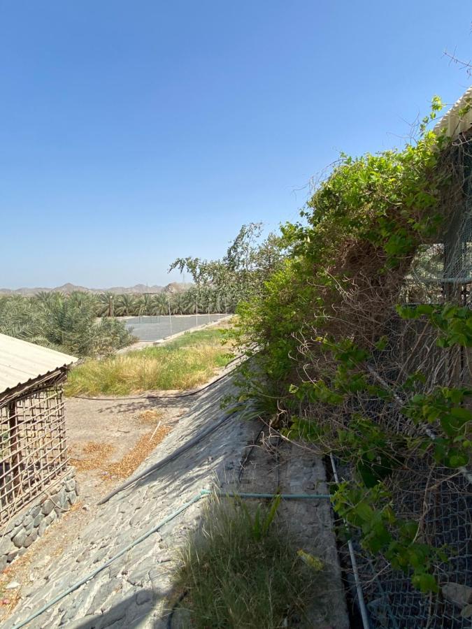 فيلا Uae Farm Qur المظهر الخارجي الصورة